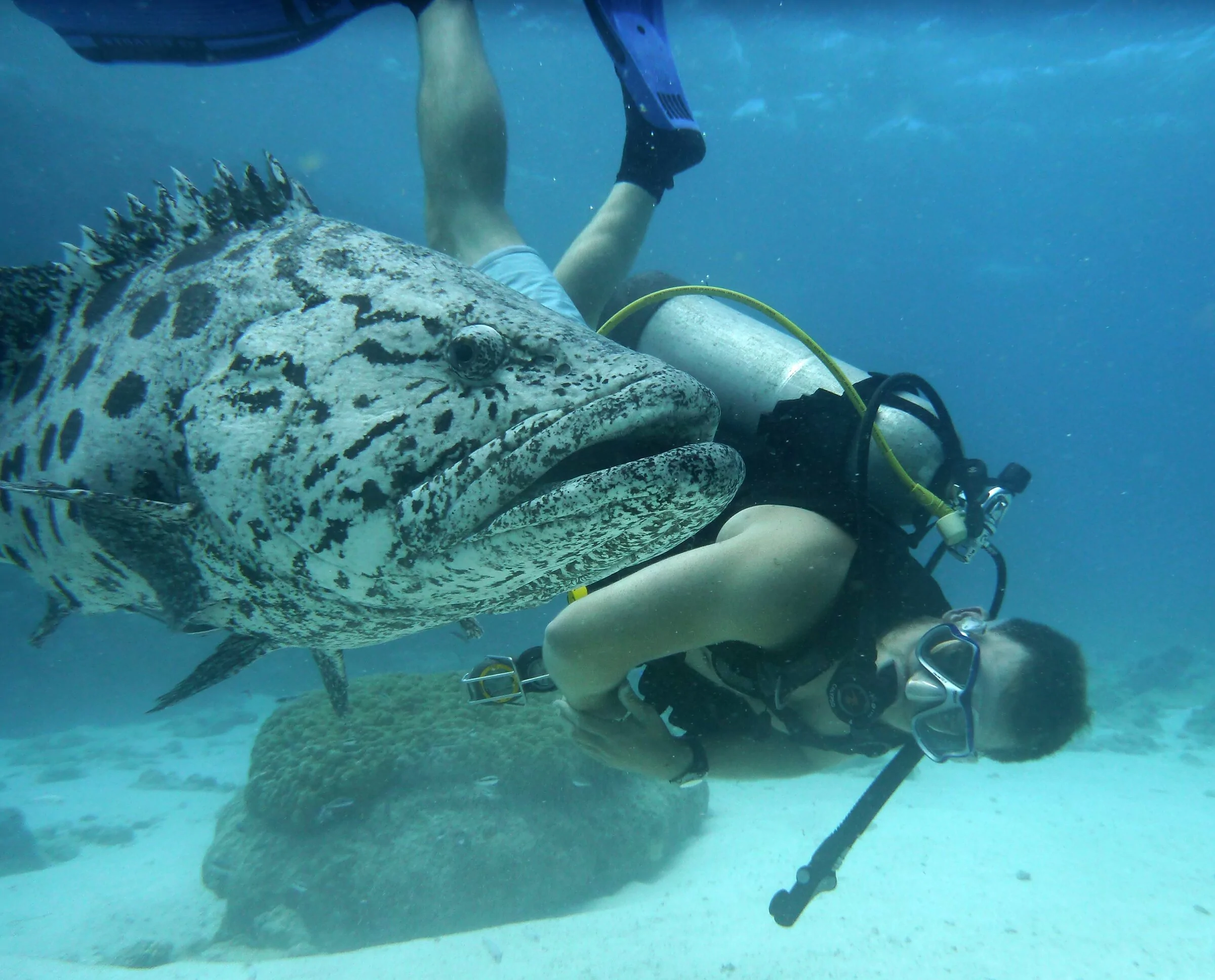 Electric Macan EV Other Hobbies B8336F1D-1ECA-42BB-B179-4FAB85B81562