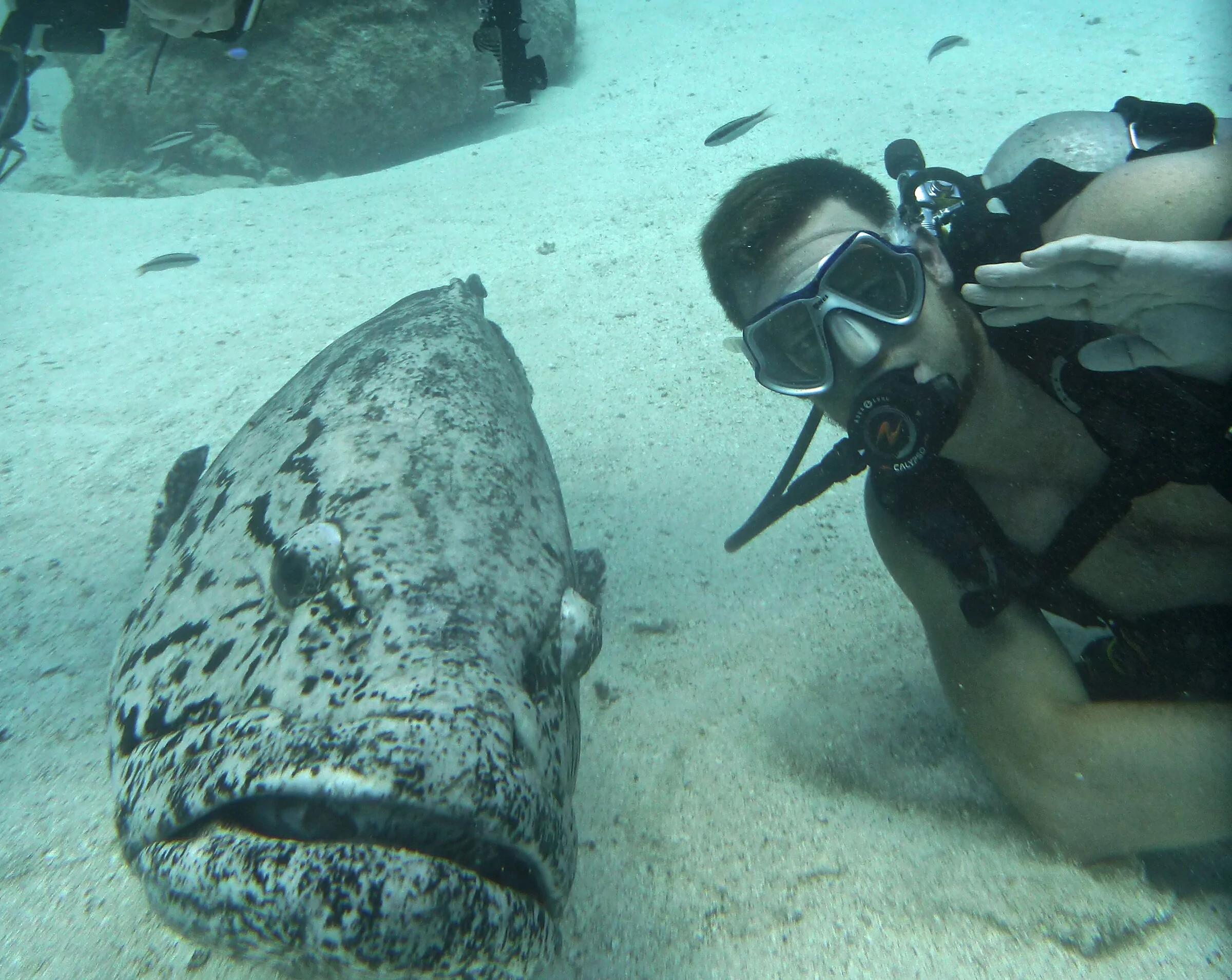 Electric Macan EV Other Hobbies 684038C6-8F1A-4729-AEF1-EE1DD88CB1BC