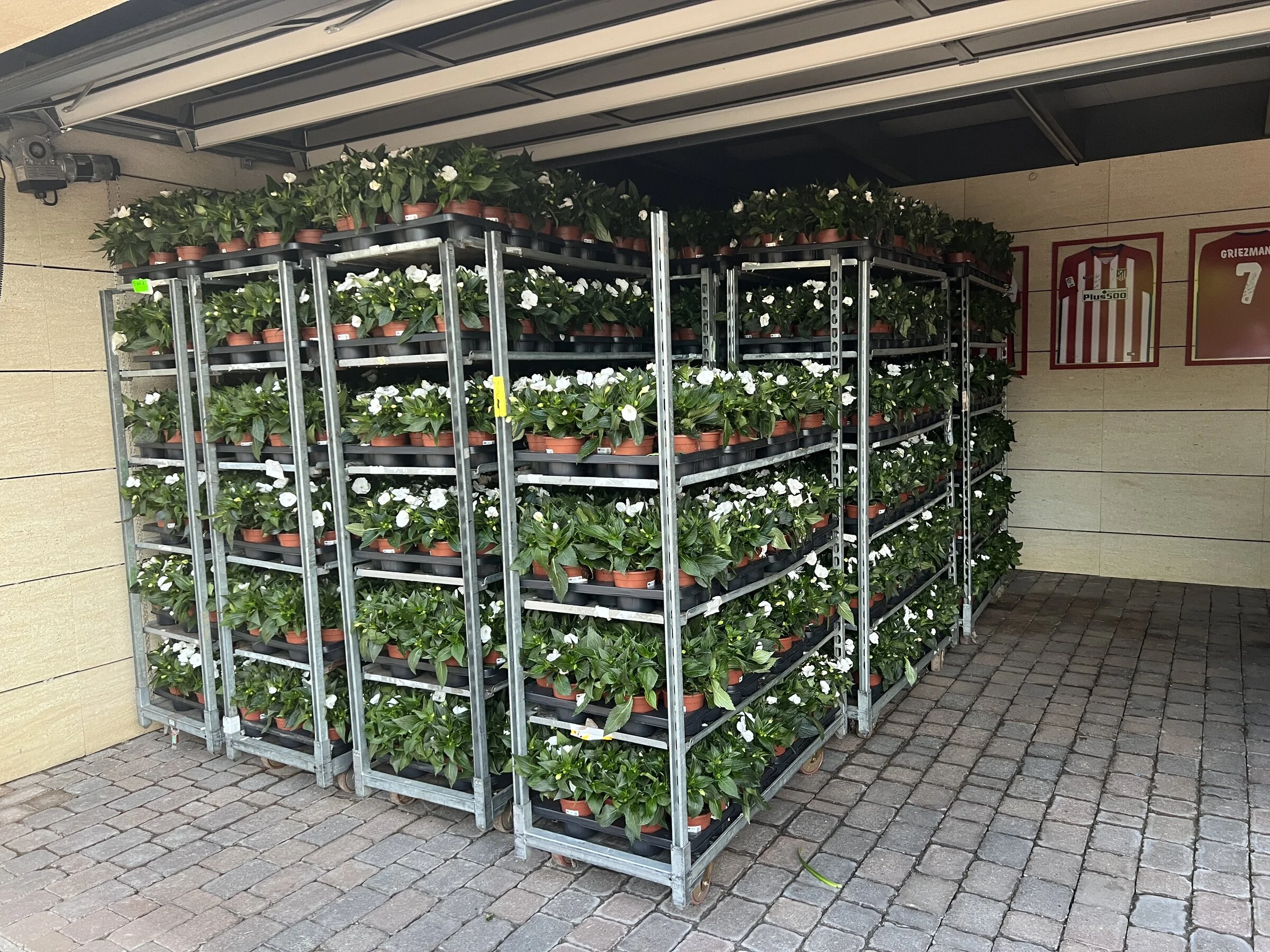 Electric Macan EV Other Hobbies IMG_4805