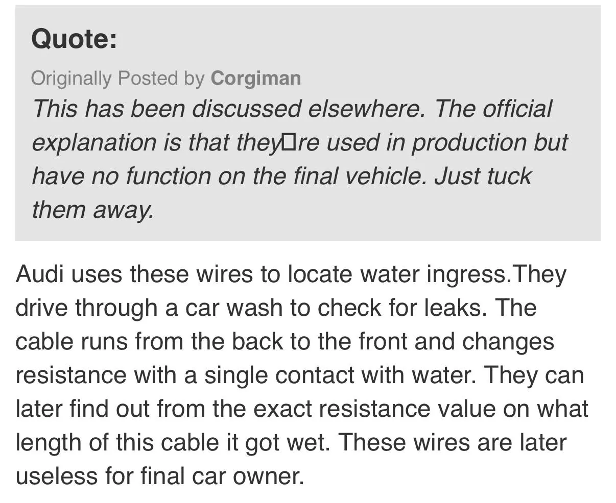 Electric Macan EV Two green wires in under the rear cover above Burmester IMG_4588