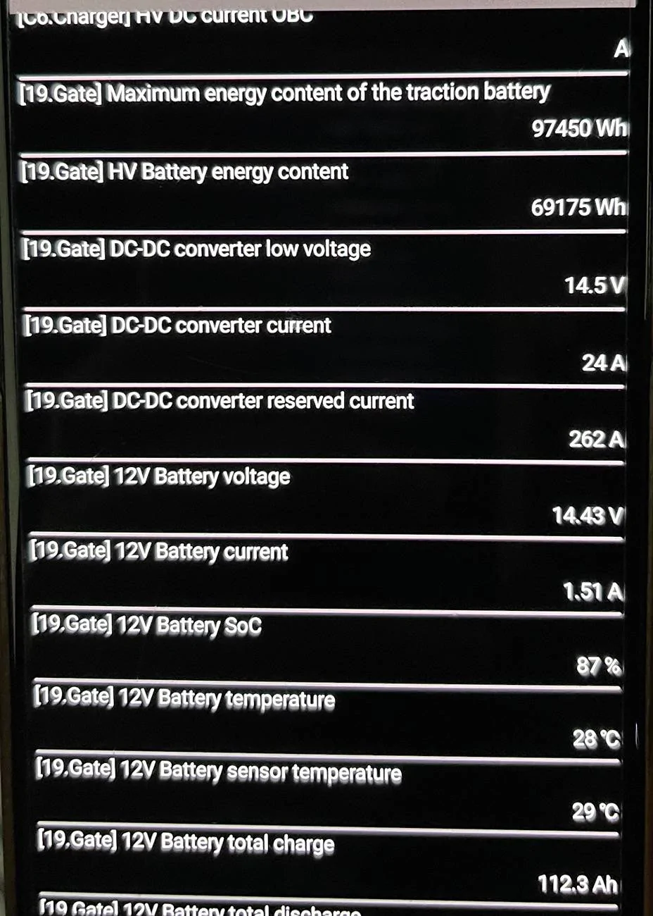 Electric Macan EV OBD to track Battery SOH? IMG_4028