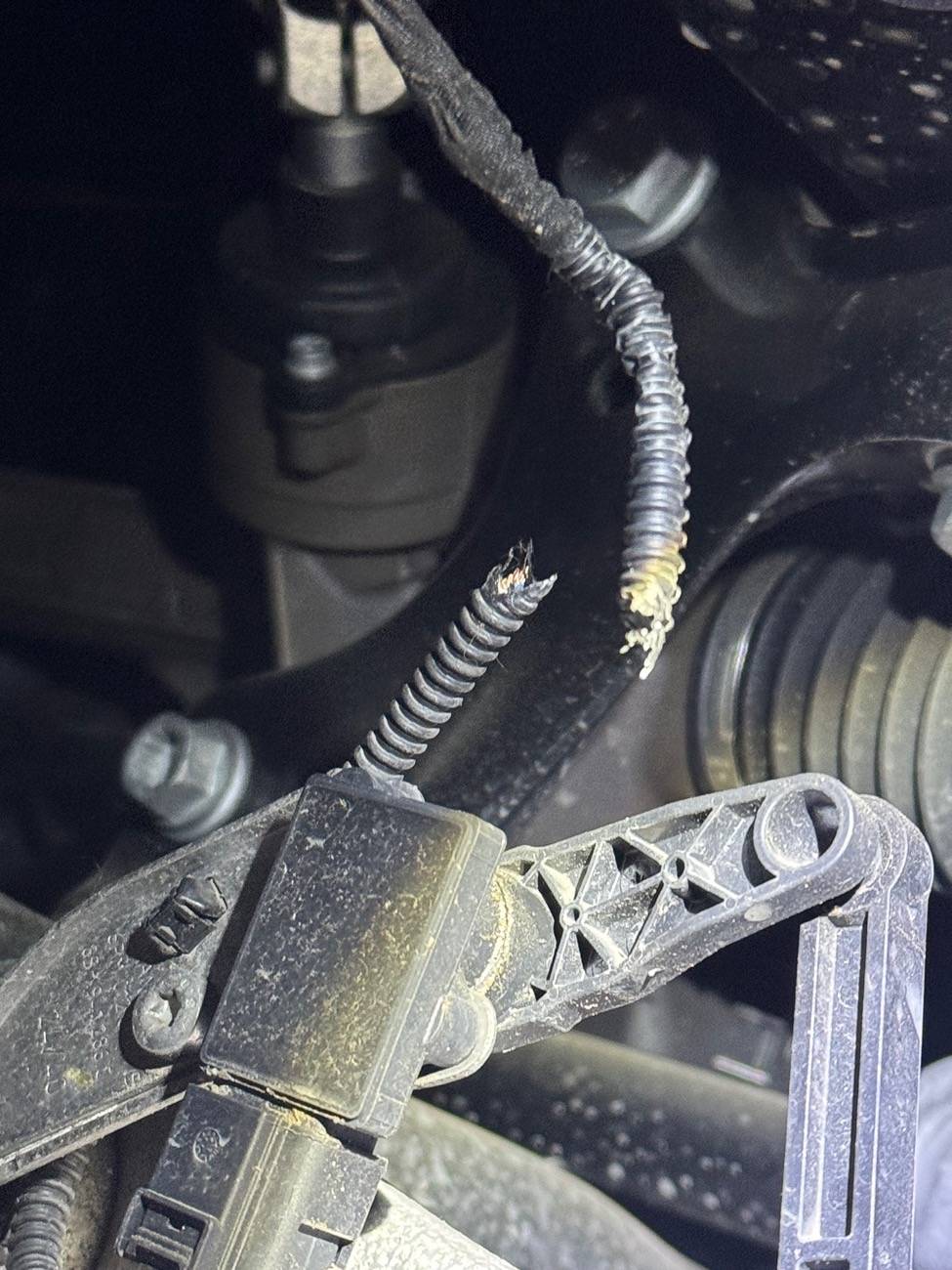 Electric Macan EV BEWARE OF RATS! caused chassis failure after chewing canles IMG_8045