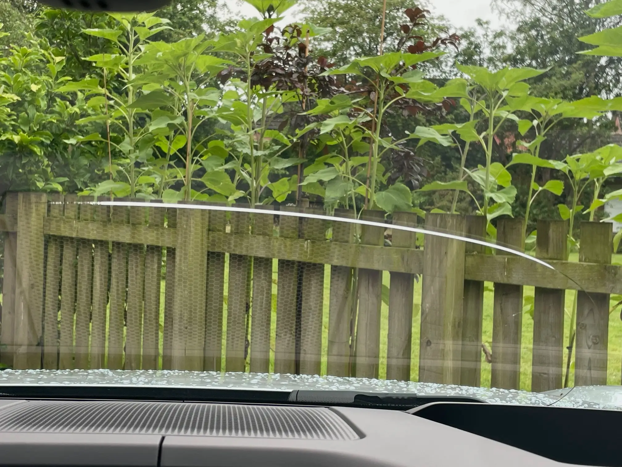 Electric Macan EV Windscreen replacement – Porsche Centre more than twice the price 'like-for-like'! IMG_4367