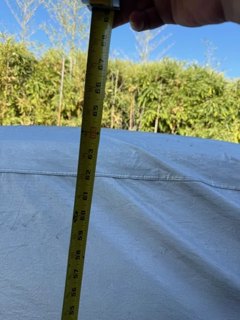 Electric Macan EV 64 inches of clearance; am I asking for it? height