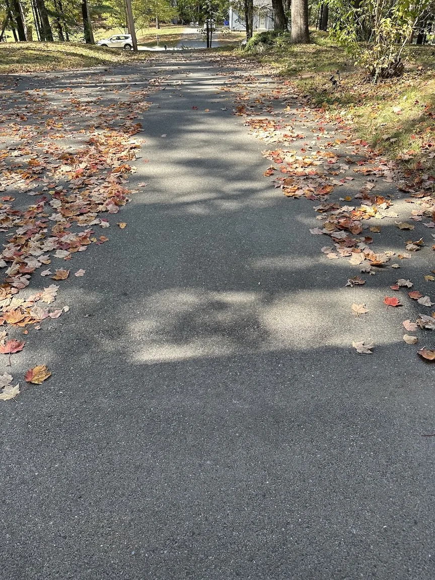 Electric Macan EV Leaf Blower LeafBlower