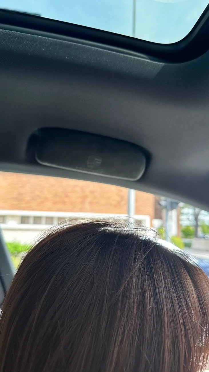 Electric Macan EV Sunglass holder installed IMG_0132