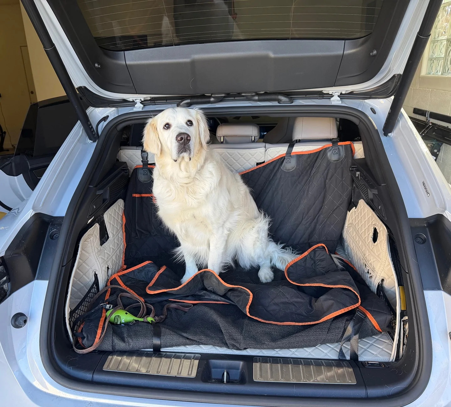 Electric Macan EV Macan EV a bit small for our dog? IMG_0163