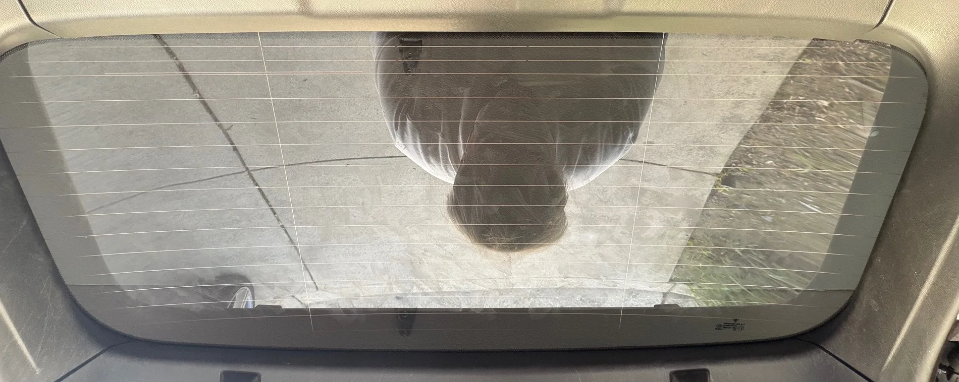 Electric Macan EV [Thoughts] - Macan 4 Loaner vs. Macan Turbo EV (owned) IMG_0272