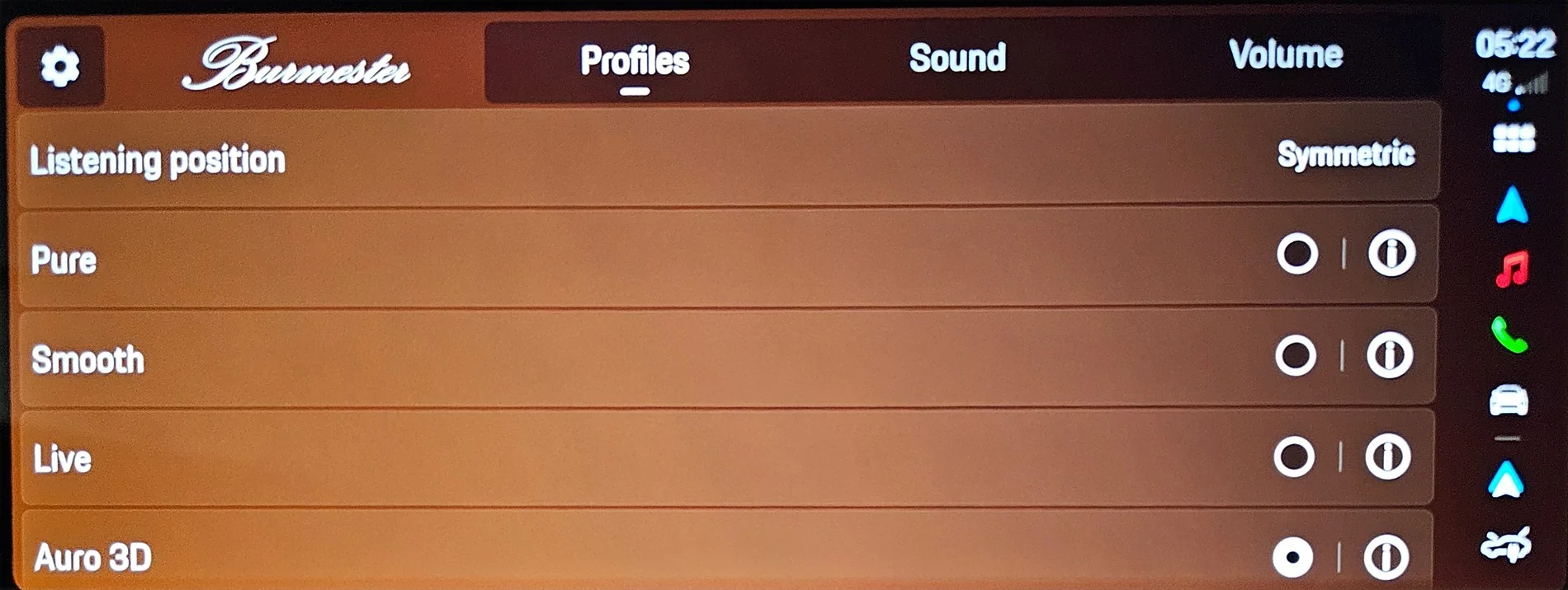 Electric Macan EV Bose Sound Pack - Opinions 1000149621