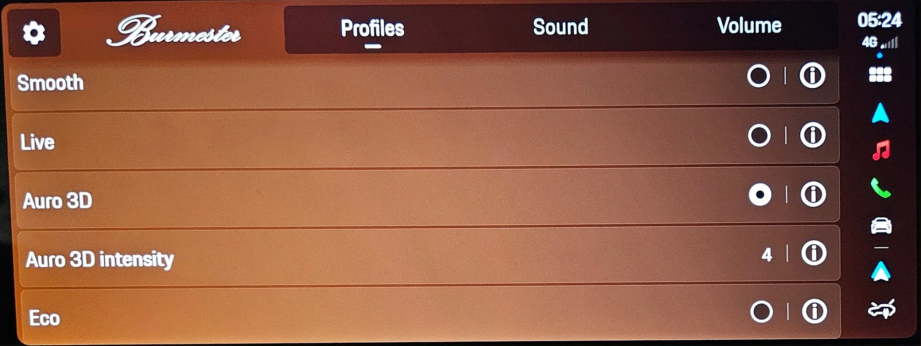 Electric Macan EV Bose Sound Pack - Opinions 1000149622