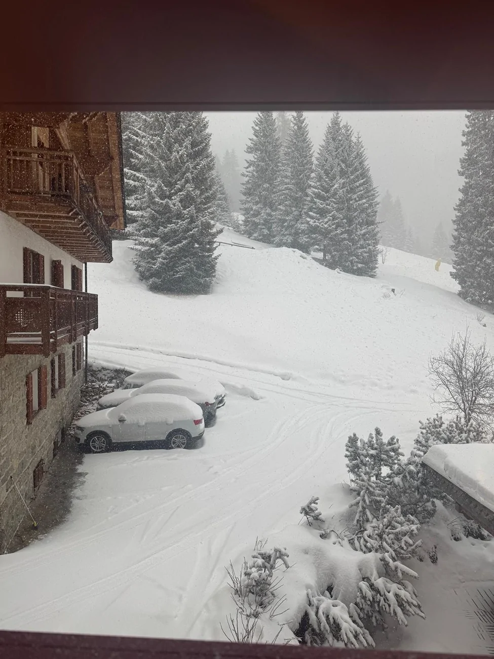 Electric Macan EV Random daily Macan EV photos - post yours! 🤳 WhatsApp Image 2026-03-01 at 18.37.24