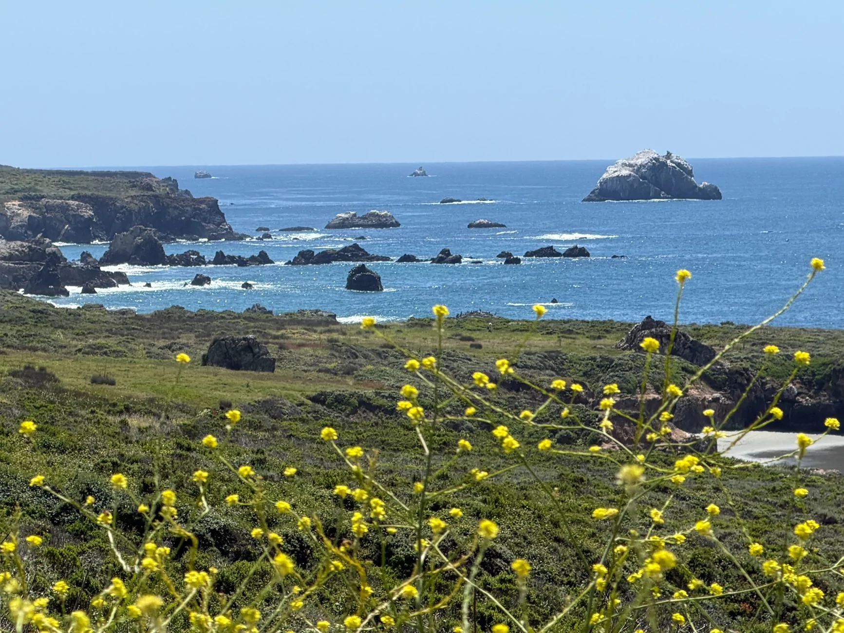 Electric Macan EV [Trip Report] - A Vacation quality drive - California Hwy 1 in Spring of 2026 IMG_0403