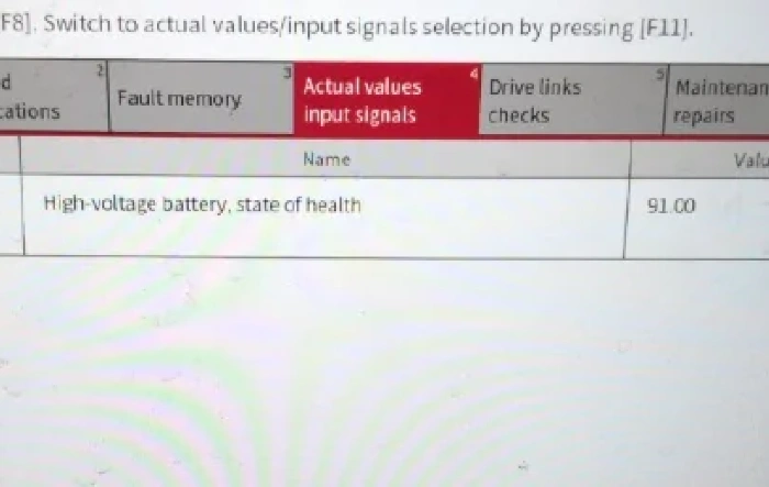 Long Term Update: Tires & Battery State of Health (SoH) After 30,000 KM (1 year)