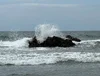 IMG_0370.webp